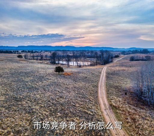 市場職業的需求分析報告,學生成績管理系統需求分析報告...